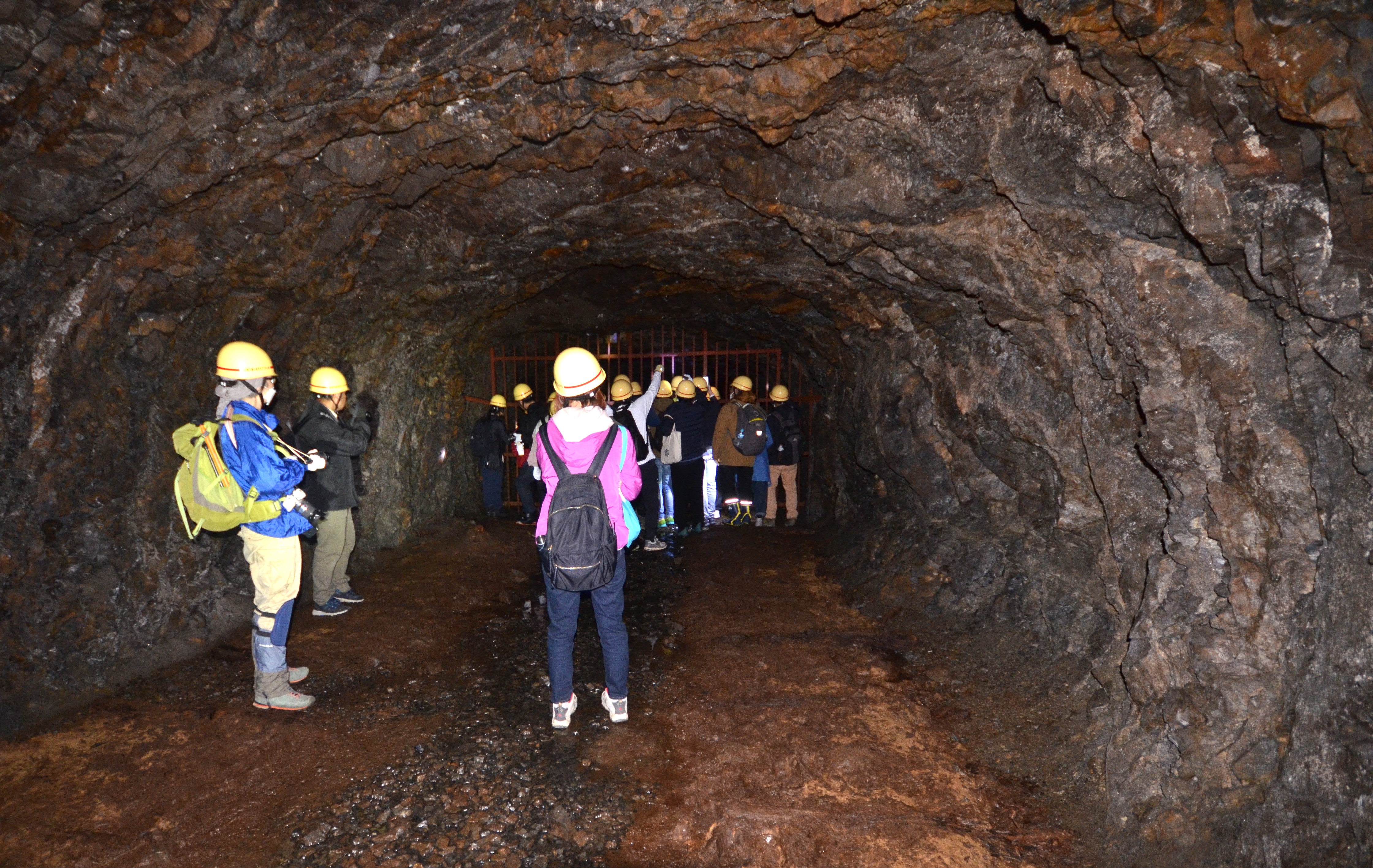 DSC_5133