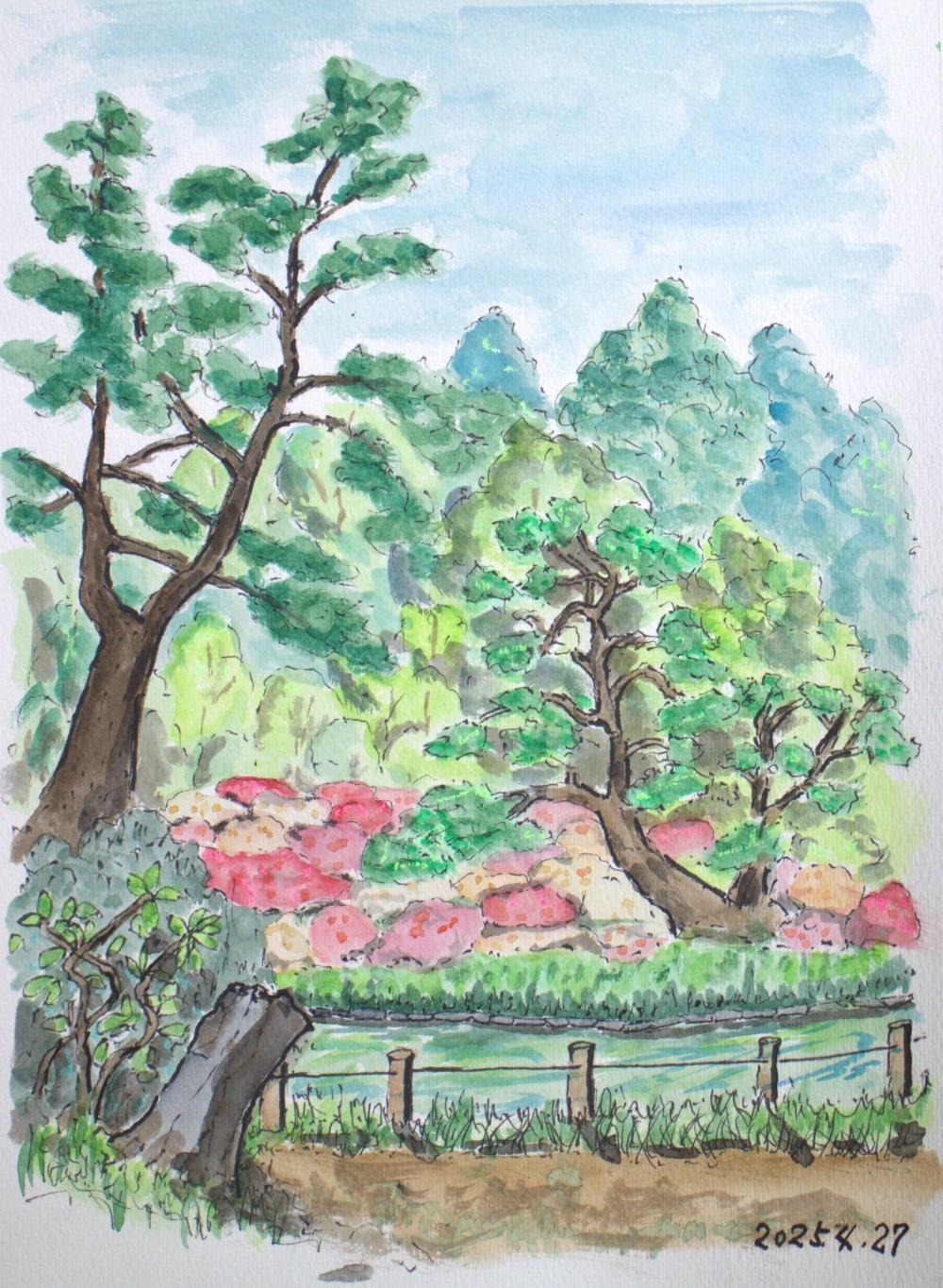 2025 0427神代植物園  -隆志さん_f