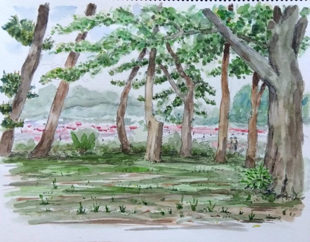 2025 0427神代植物園 準次_fr