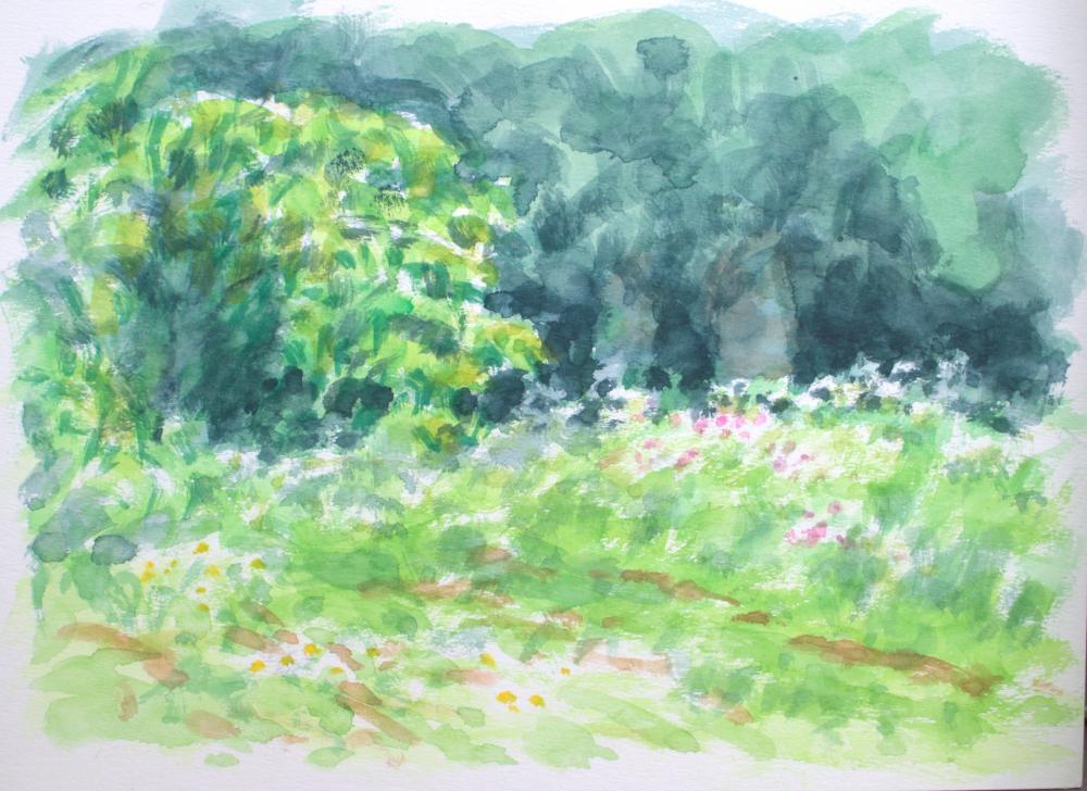 2025 0427神代植物園 櫻山さん_fr
