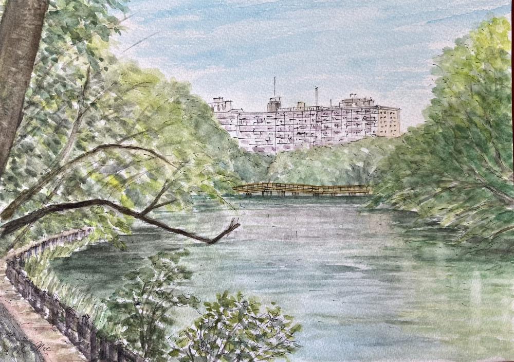2025 0511 望月さん・井之頭公園