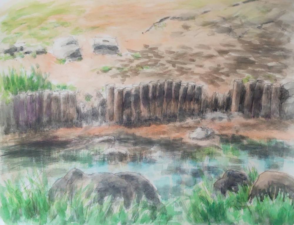2025 0511 櫻山さん・井之頭公園