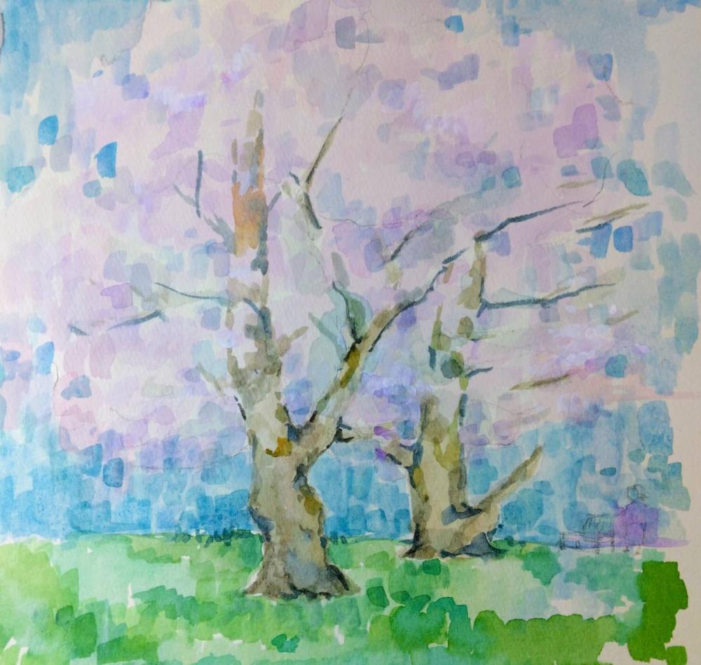 2026 0308 鈴木さん2 写真から「さくらA」