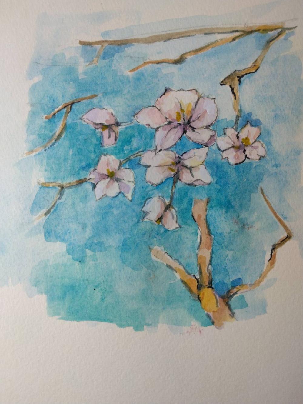 2026 0308 鈴木さん2 写真から「さくらB」