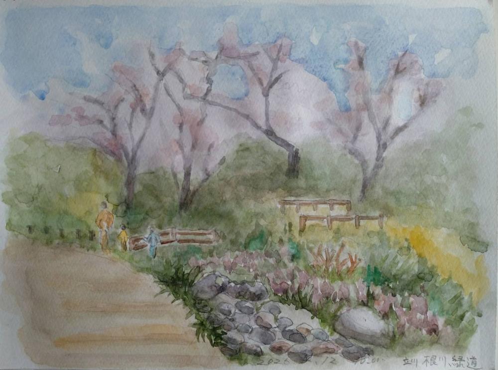 2026 0412 根川緑道 Tokoさん_fr