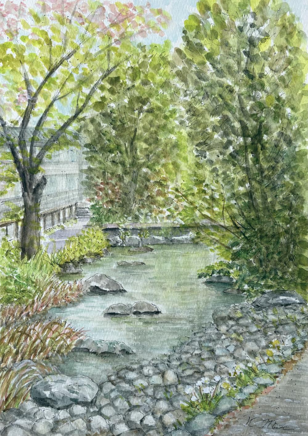 2026 0412 根川緑道 望月さん