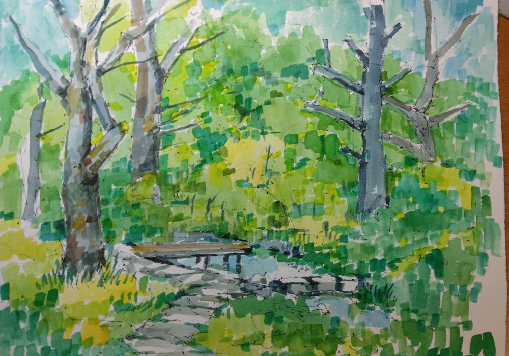 2026 0412 根川緑道 鈴木さんa