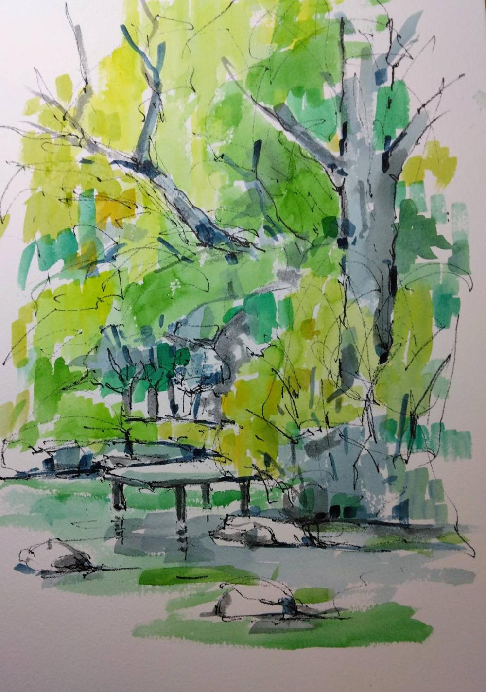 2026 0412 根川緑道 鈴木さんb