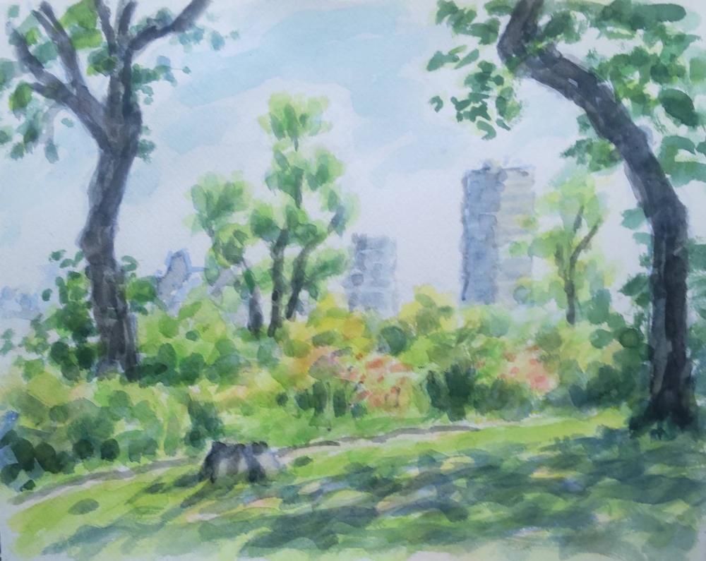 2026 0510 富士森公園 櫻山さん