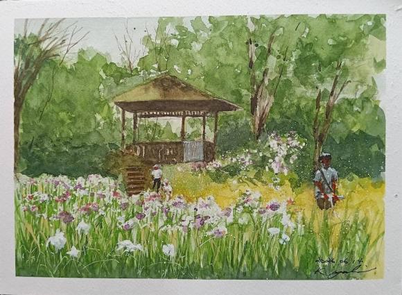 2026 0614 吉岡さん 昭和記念公園