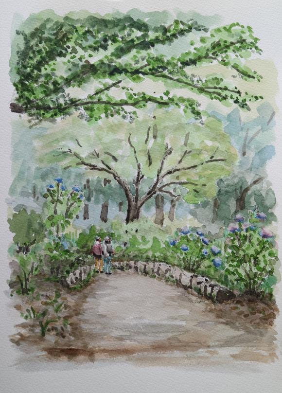 2026 0614 準次さん 昭和記念公園