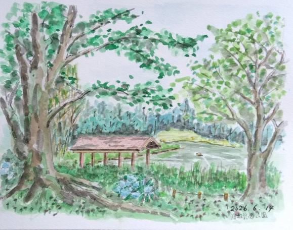 2026 0614 隆志さん 昭和記念公園_f