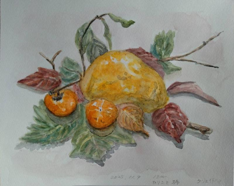 20251109 Tokoさん2 花梨と柿_front