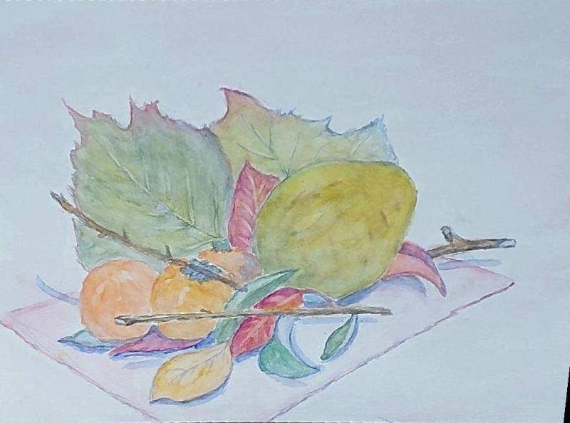 20251109 香代子さん3 花梨と柿_front