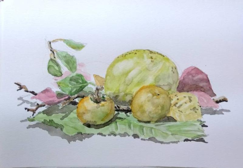 20251109 準次さん 花梨と柿_front