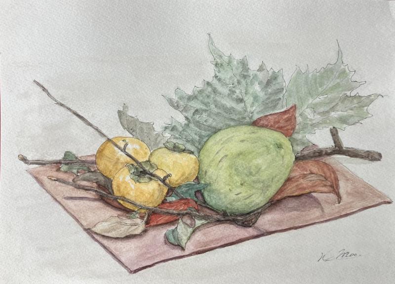 20251109 望月さん2 花梨と柿