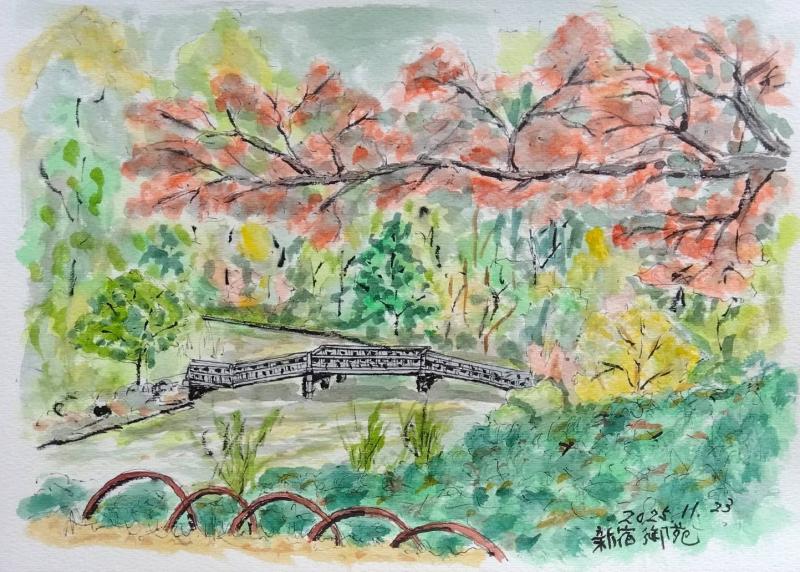 20251123 新宿御苑 隆志さん_fr